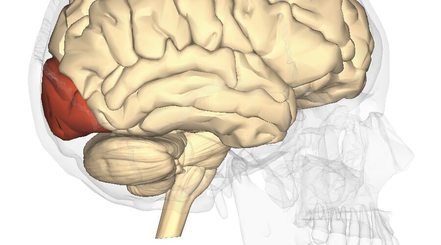 The Neuroscience of Storytelling Part 2: The Visualization